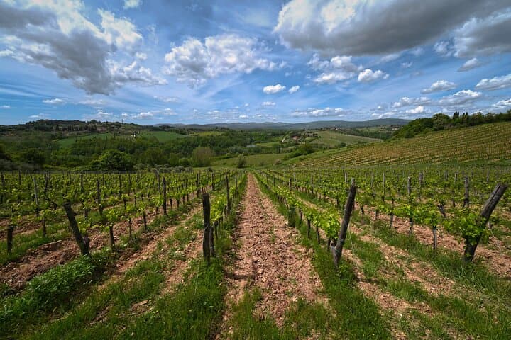 Siena: A Wine Tour and Tasting Experience — photo 1 of 10