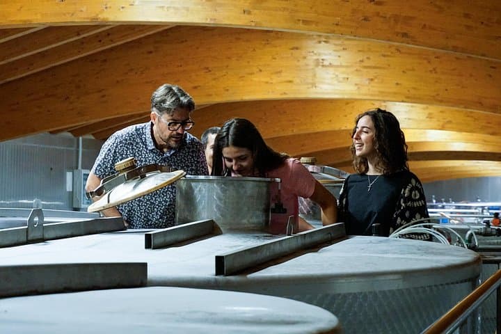 From the Cluster to the Chalice : A Journey into the Heart of Wine in Bardolino — photo 1 of 15