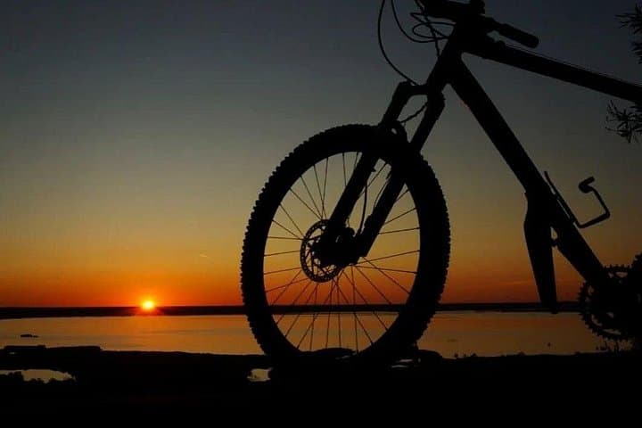 Pisa: Self-Guided Bike Tour to Lake Massaciuccoli — photo 1 of 7