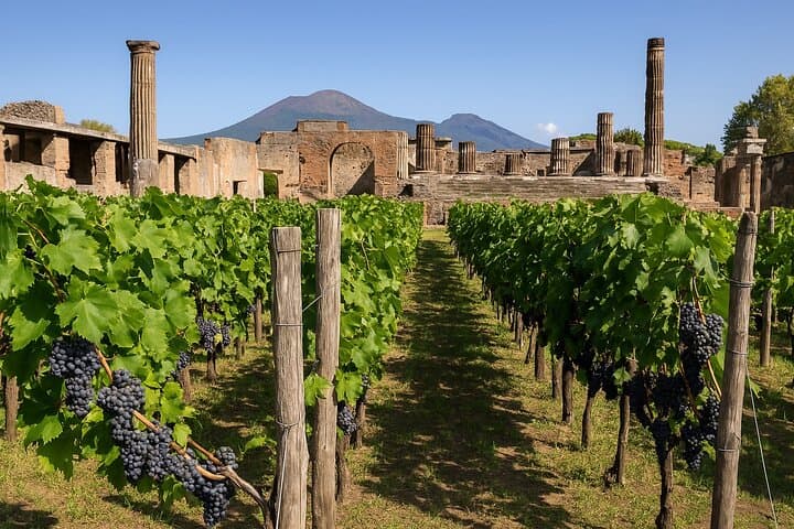 Private Pompeii Tour and Wine Tasting with Pickup from Naples — photo 1 of 8