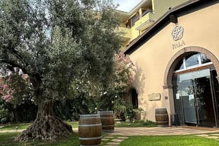 Cagliari: Visit a Winery with a Sommelier