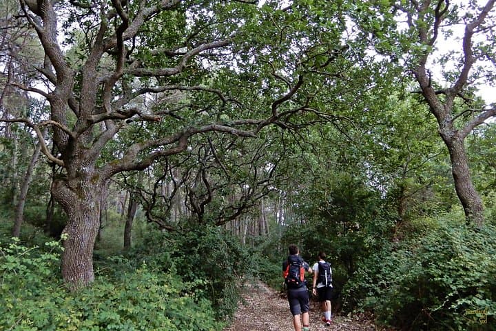 Mercadante Forest : excursion in Alta Murgia National Park — photo 1 of 12