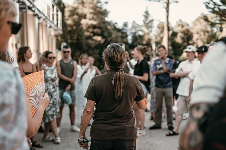 Wine and Olive Oil Full Tour in Chianti Hills — photo 1 of 6