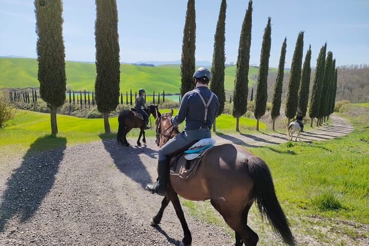Tuscany Horseback Riding Experience in Buonconvento — photo 1 of 11