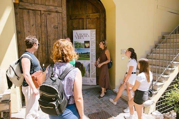 Wine Tasting at Azienda Agricola Viola in Mezzocorona — photo 1 of 10