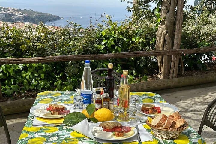 Sorrento Farm Tour with Mozzarella Making & Tasting Lunch — photo 1 of 18