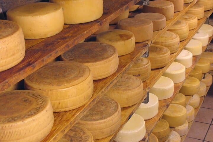 Tuscan Olive Oil and Cheese Tasting Tour with San Gimignano — photo 1 of 24