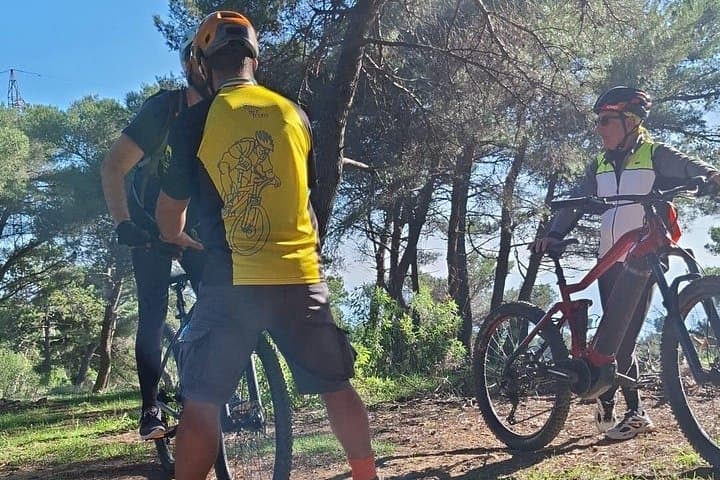 Dominate the Trails With the Basic MTB Course — photo 1 of 7