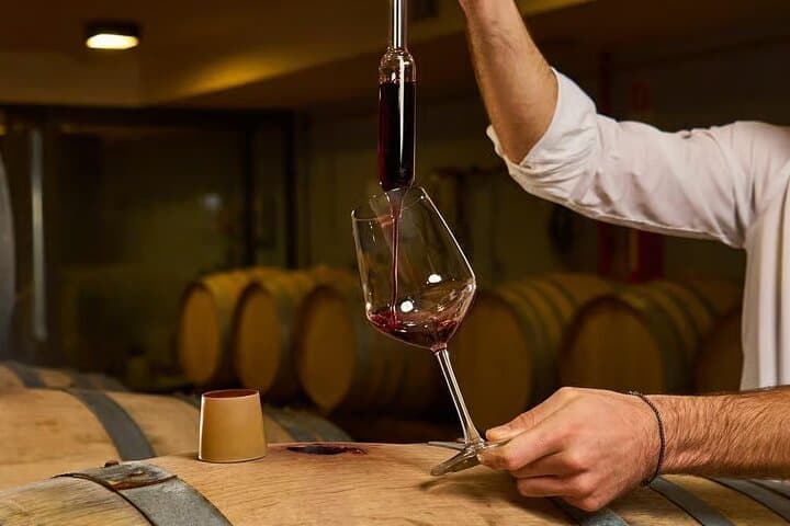 Wine Tasting in an Authentic Tuscan Cellar in Radda in Chianti — photo 1 of 12