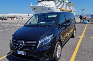 Private Transfer from Ravenna Cruise Port to Venice or Return