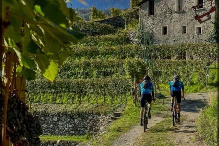 Wine Experience and Bike Tour from Lake Como to Valtellina — photo 1 of 8