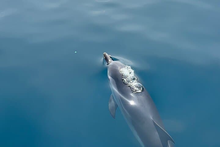 Boat tour in Taormina, susent aperitif, dolphin watching — photo 1 of 17