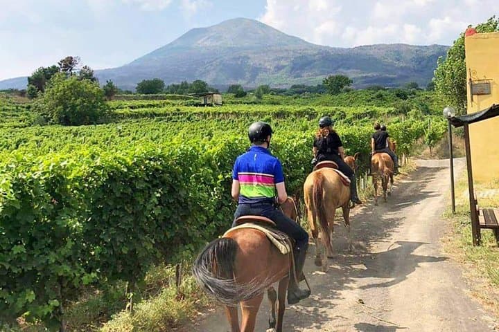 Pompeii Guided Tour & Horse Riding on Vesuvius with Lunch — photo 1 of 21