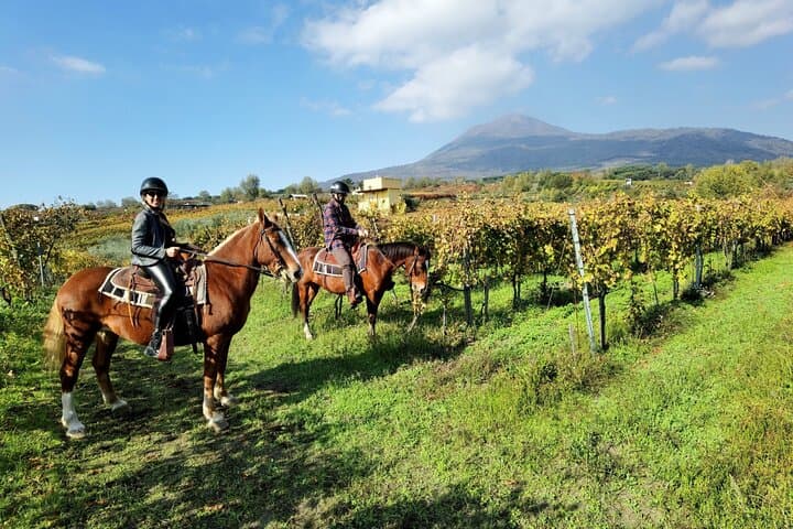 Pompeii Guided Tour & Horse Riding on Vesuvius with Lunch — photo 1 of 21