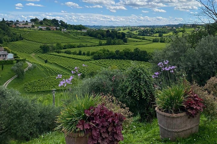 Tour in the Prosecco Hills Tour from Padua — photo 1 of 9