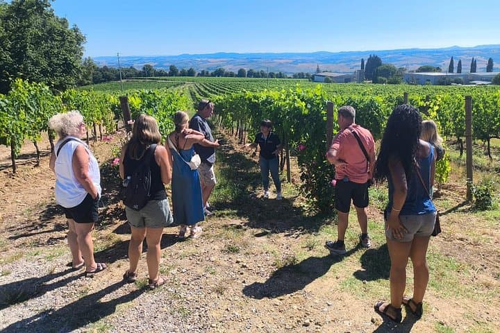 Brunello di Montalcino Wine Tour with 2 Wineries & Lunch at Farm — photo 1 of 21