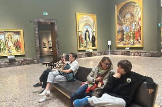Milan Pinacoteca Art Gallery & Brera District Private Guided Tour