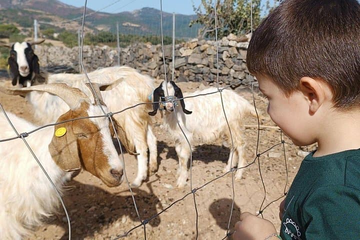 Seulo Farm Tour with Tasting — photo 1 of 12