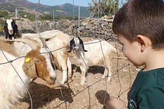 Seulo Farm Tour with Tasting