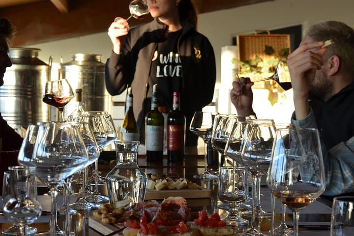 Winery tour and tasting in the Chianti hills — photo 1 of 5