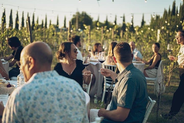 Lunch in a Tuscan vineyard with wine tasting — photo 1 of 8