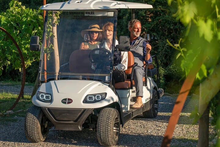 Tuscan vineyard golf cart tour with wine tasting and lunch — photo 1 of 9