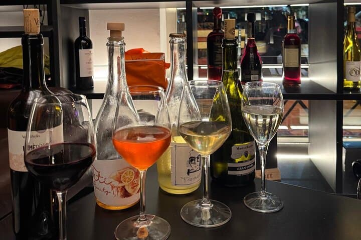 Palermo Rebel Wines Tasting-Local Bites in the City Center — photo 1 of 12