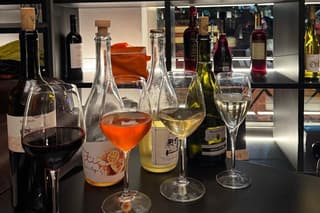 Palermo Rebel Wines Tasting-Local Bites in the City Center