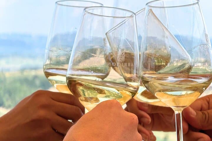 Half-day Chianti Classico Wine tour from Florence - Small Group — photo 1 of 16