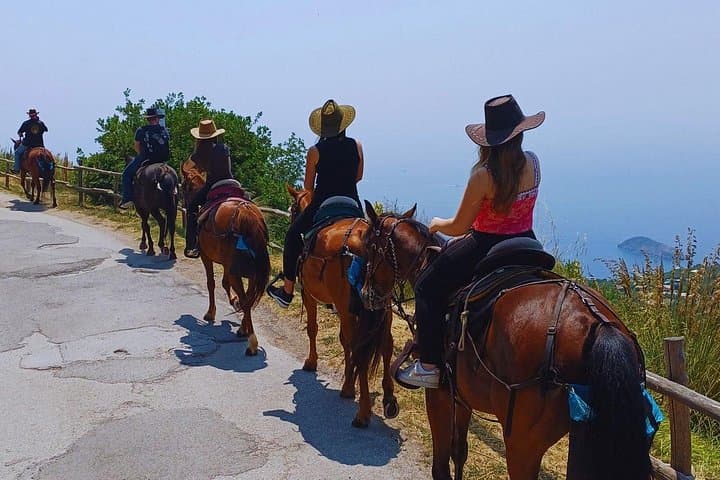 Sorrento Guided Horseback Riding Tour — photo 1 of 15