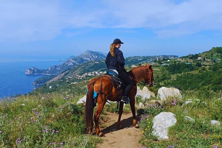Shared Guided 3 Hour Horseback Ride on the Sorrento Peninsula — photo 1 of 20