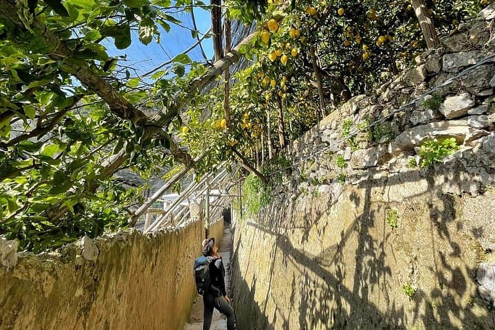 Ravello and Lemon Grove Experience Private Tour from Naples — photo 1 of 14