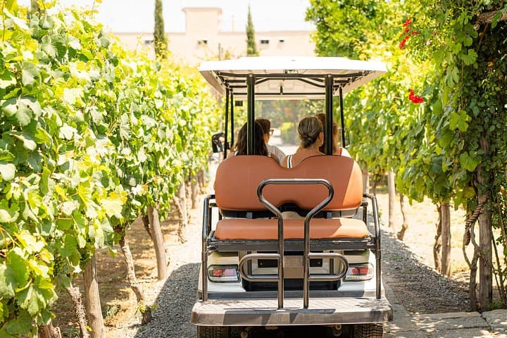 From Vineyard to Table: Wine Tasting & Neapolitan Lunch in Pompei — photo 1 of 6