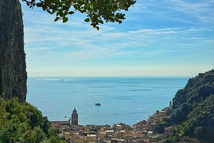 Amalfi: Organic Lemon Tour + Limoncello + Honey + Wine Tastings — photo 1 of 46