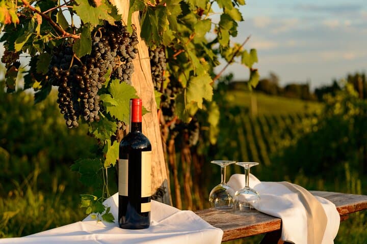 From Verona half day wine experience in Valpolicella and Amarone — photo 1 of 7