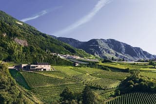 Private cellar tour and wine tasting at Pfitscher Winery.