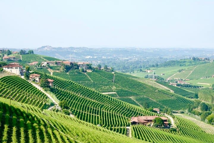 Small-Group Barolo Wine Tasting, Alba & UNESCO Piedmont Hills — photo 1 of 21