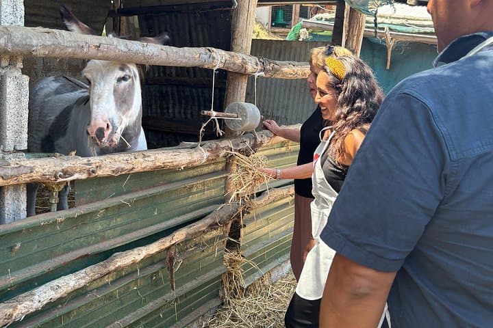 From Sorrento: Farm-to-Table Pizza and Cheese-Making Class — photo 1 of 17
