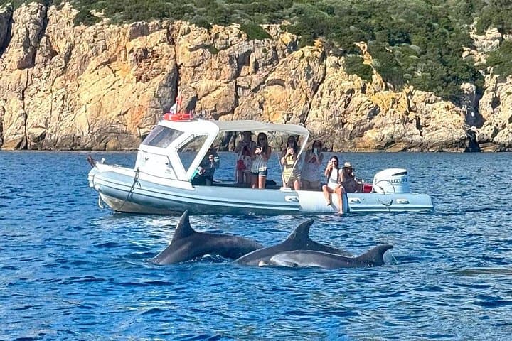 From Olbia: RIB tour to Capo Figari with dolphin sighting — photo 1 of 13