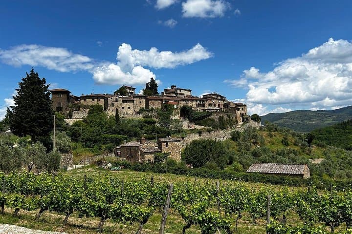 Chianti Journey From Florence to Boutique Wineries — photo 1 of 6