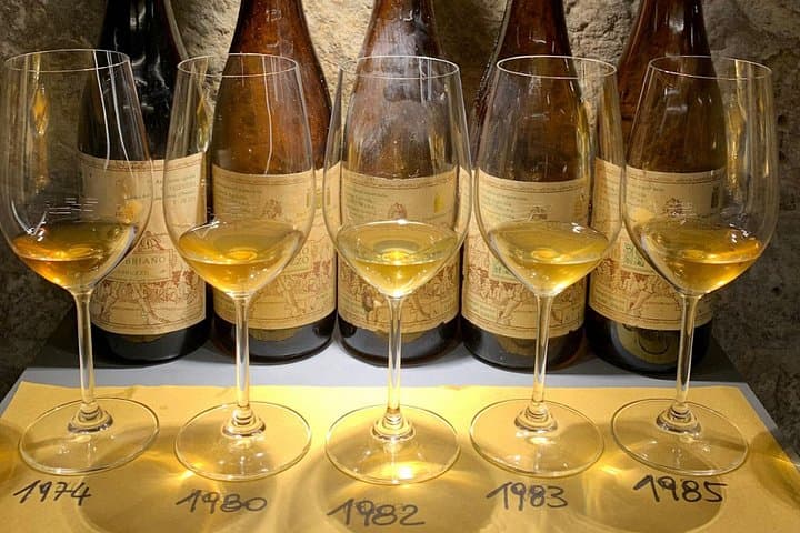 Wine Tasting with Local Bites in Pisa near the Tower — photo 1 of 11