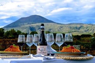 Private Vesuvio Wine and Food Tasting Experience