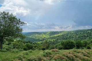 Tolfa : trekking ring of Ferrone