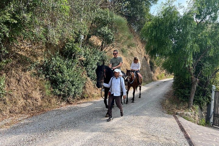 Horseback Ride Farm Visit and Lunch at Montepulciano — photo 1 of 6