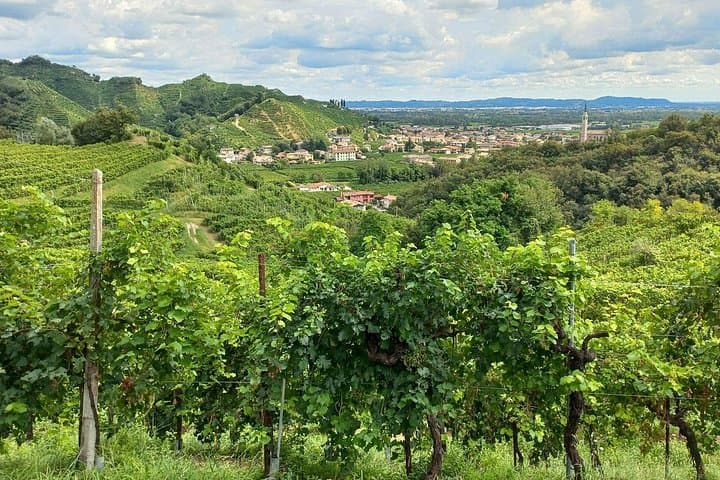 Prosecco Hills Day Trip from Venice & Treviso: 2 Wineries — photo 1 of 18
