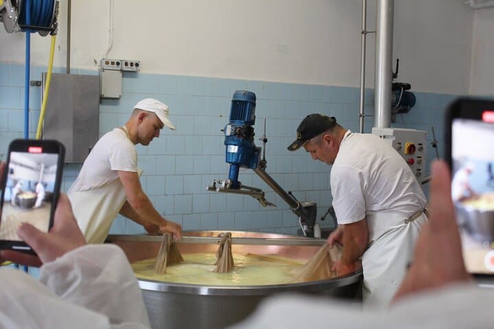 Parmigiano Reggiano & Aceto Balsamico tour with lunch — photo 1 of 16