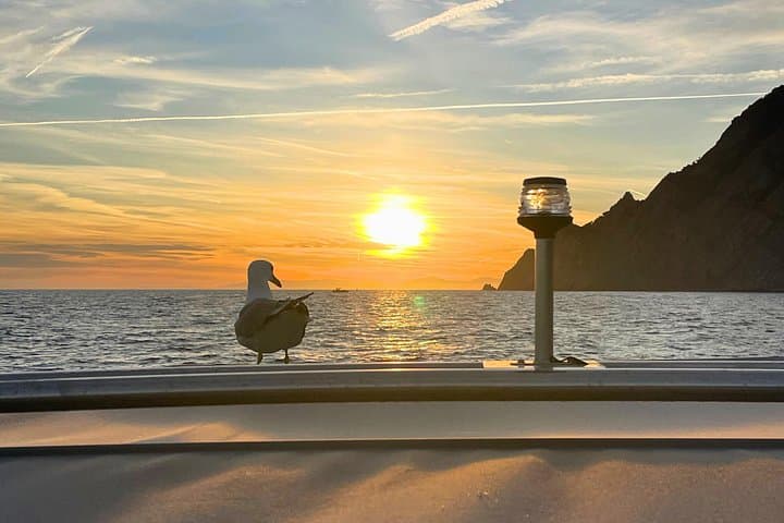 Where the Sun sets: your 5Terre Chill Cruise - Private — photo 1 of 11