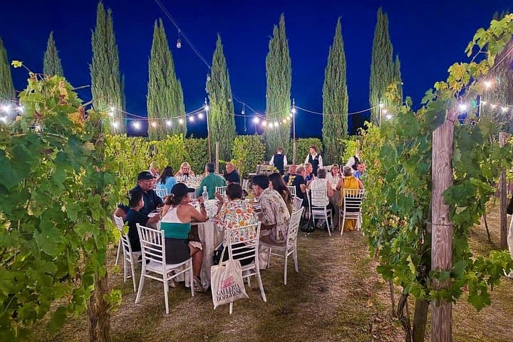 Sunset Summer Dinner Among the Vines – Small Group — photo 1 of 10