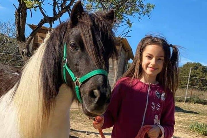 Cagliari Visit the Animals of a Farm — photo 1 of 9
