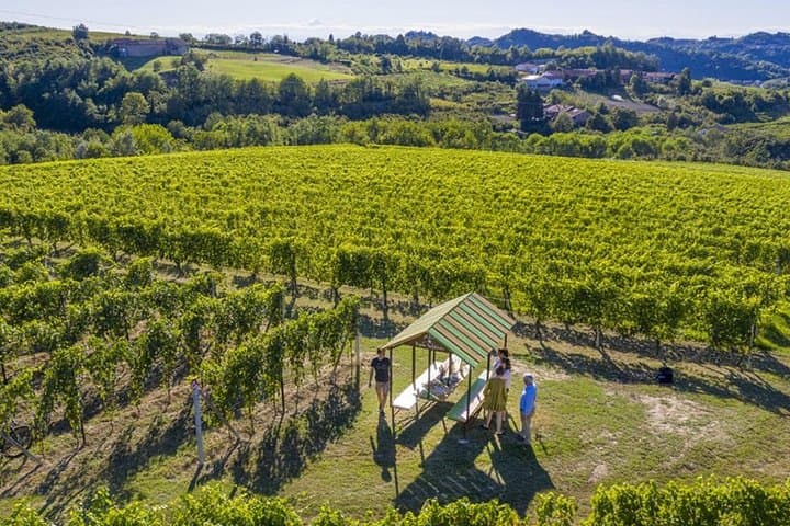 Wine Tasting and Food Pairings in Langhe and near Alba — photo 1 of 17